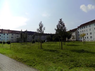 Wohngebiet Totenfeld